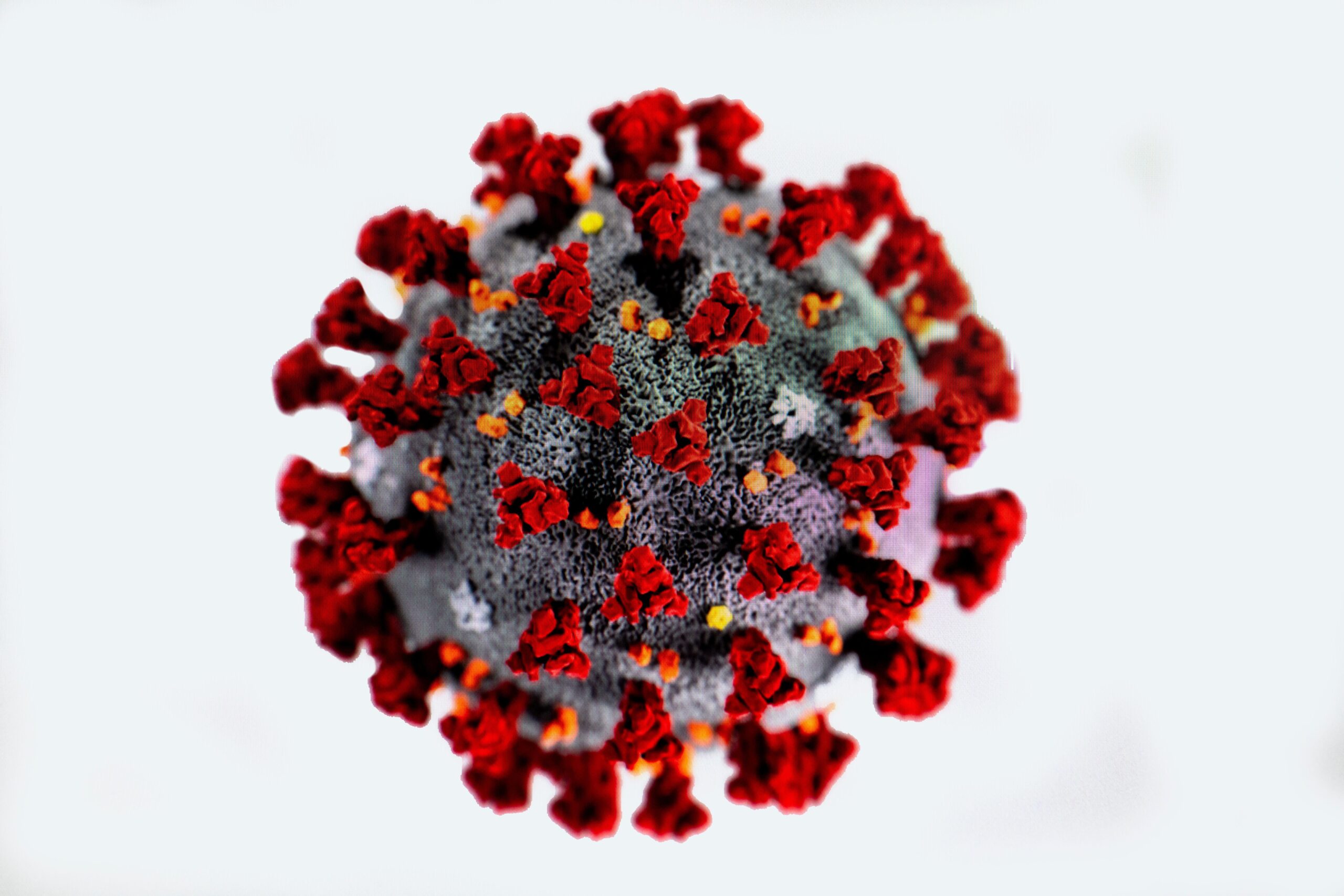 Image of Coronavirus COVID-19