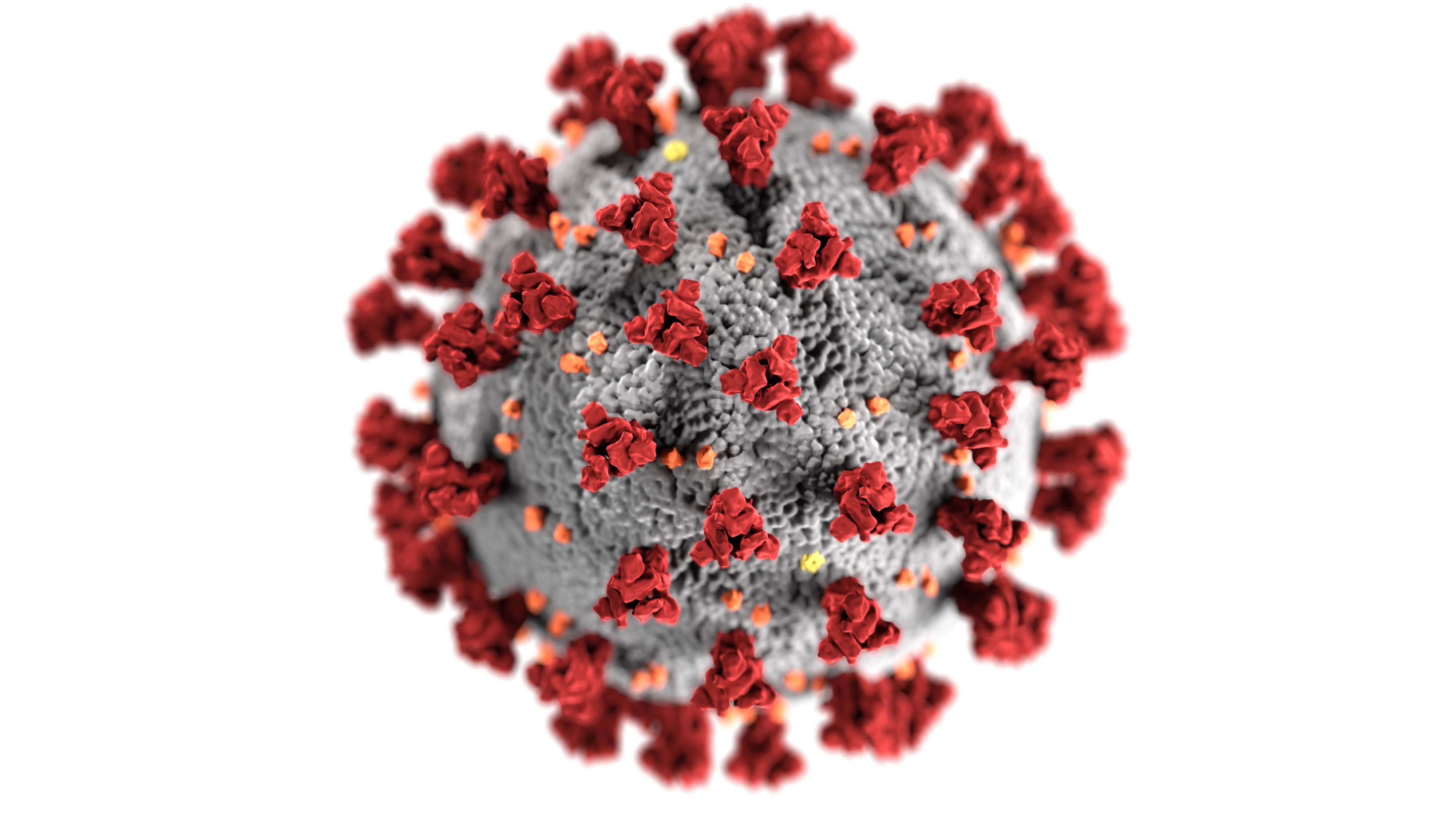 Coronavirus COVID-19